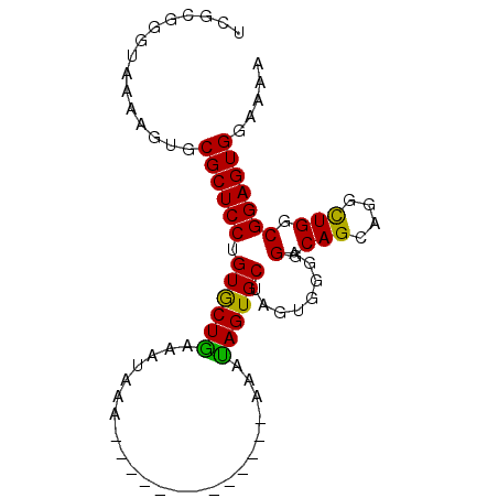 secondary structure