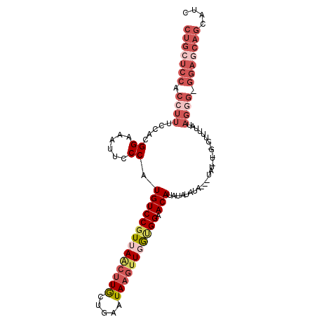 secondary structure