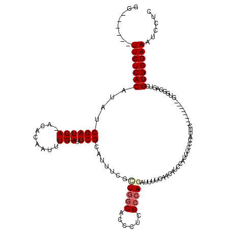 secondary structure