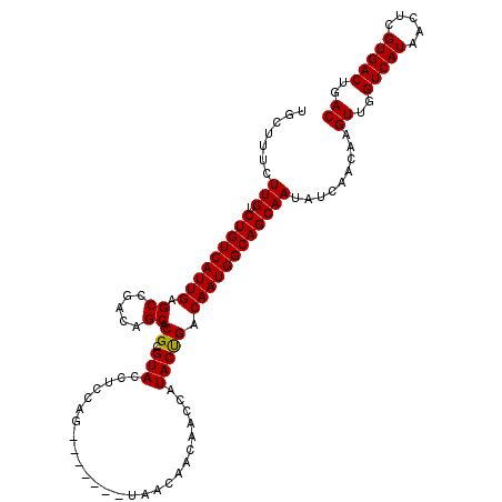 secondary structure