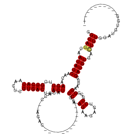 secondary structure
