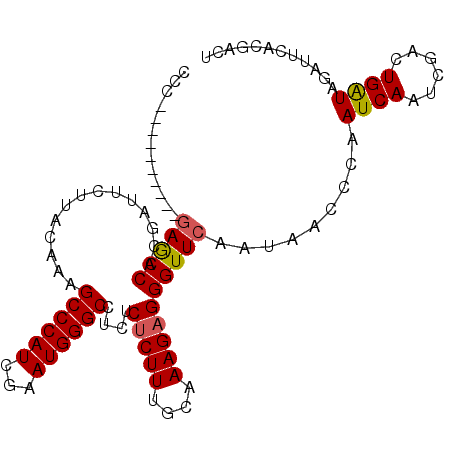 secondary structure