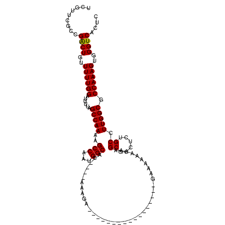 secondary structure