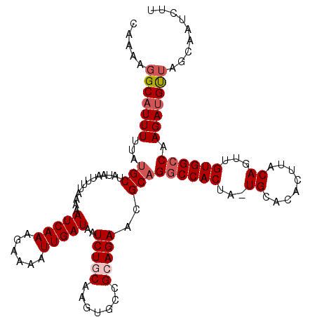 secondary structure