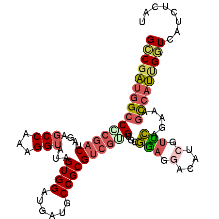 secondary structure