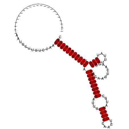 secondary structure