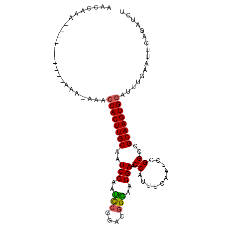 secondary structure