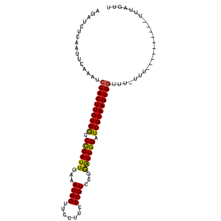 secondary structure
