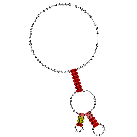 secondary structure