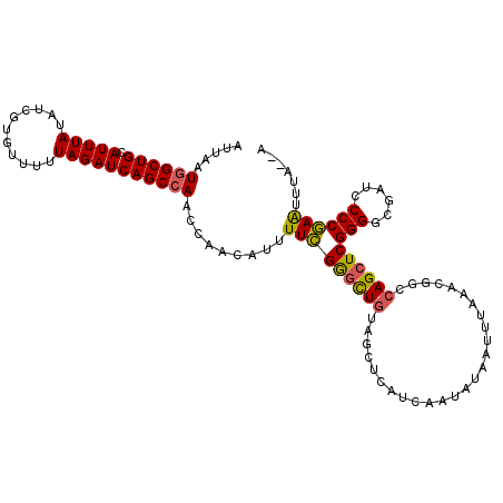 secondary structure