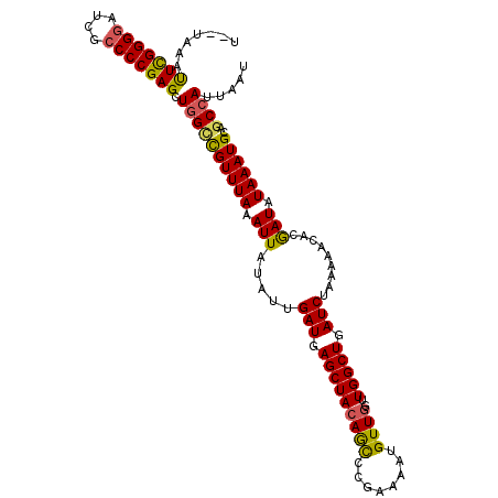 secondary structure