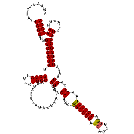 secondary structure