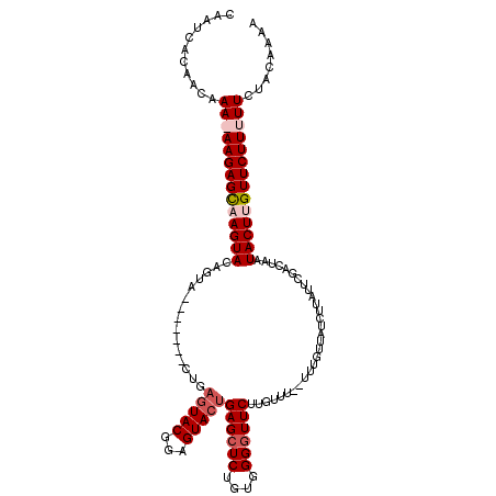 secondary structure