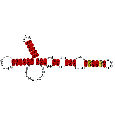 secondary structure