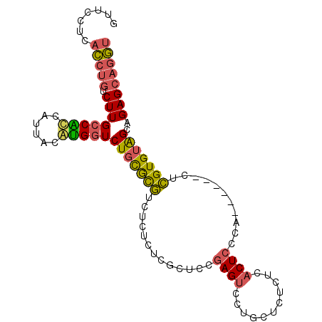 secondary structure
