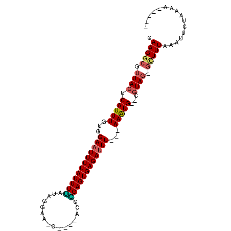 secondary structure