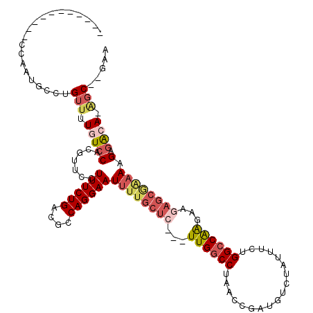 secondary structure