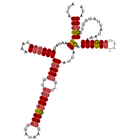 secondary structure
