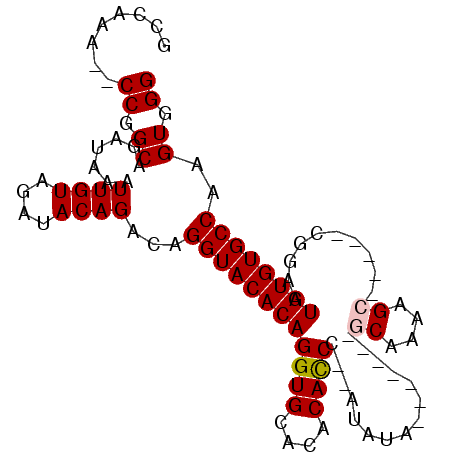 secondary structure