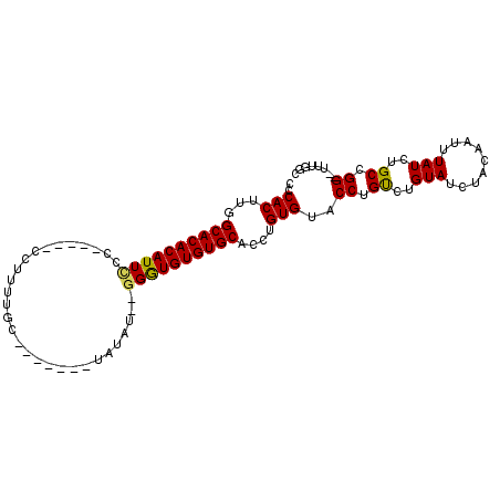 secondary structure