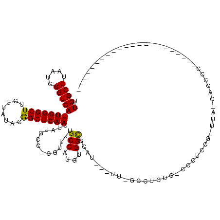 secondary structure