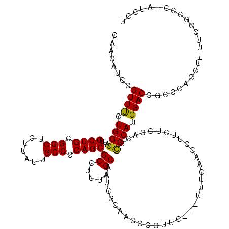 secondary structure