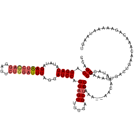 secondary structure