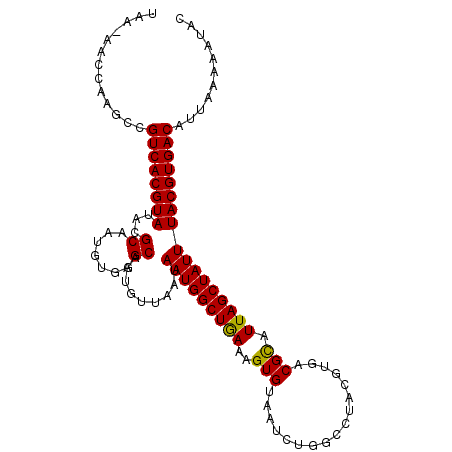 secondary structure