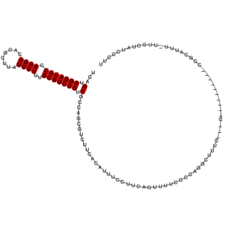 secondary structure