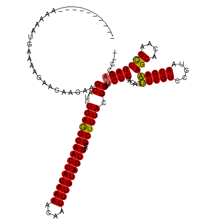 secondary structure