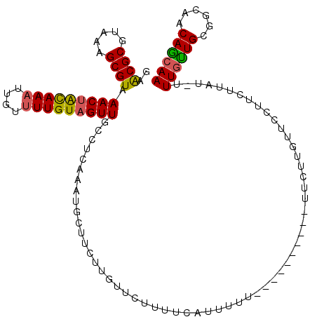 secondary structure