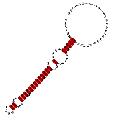 secondary structure