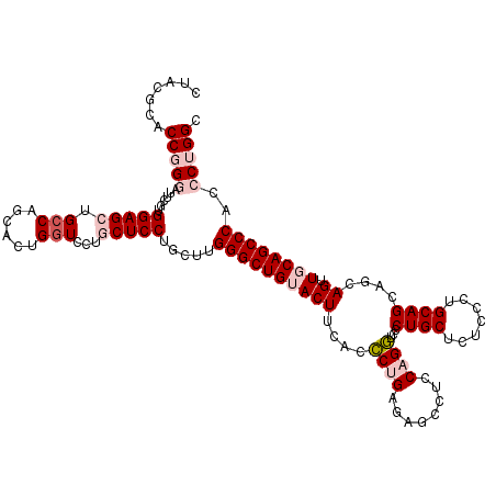 secondary structure