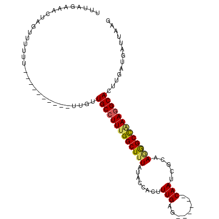 secondary structure