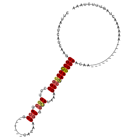 secondary structure