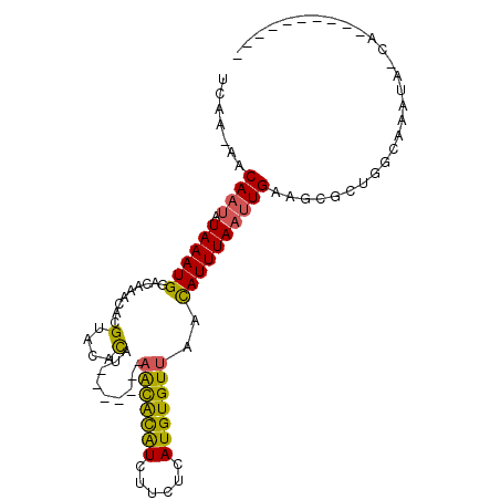 secondary structure