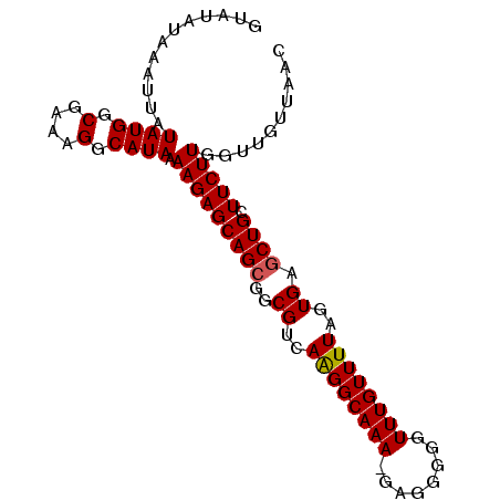 secondary structure