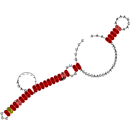 secondary structure