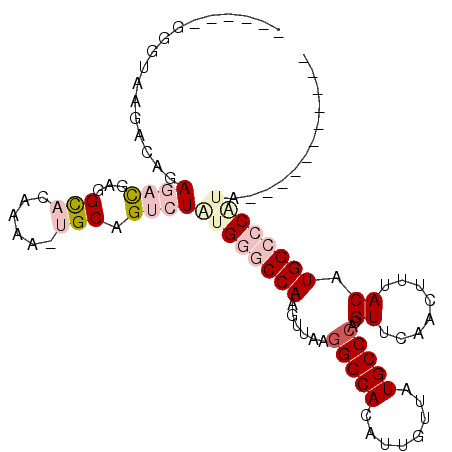 secondary structure