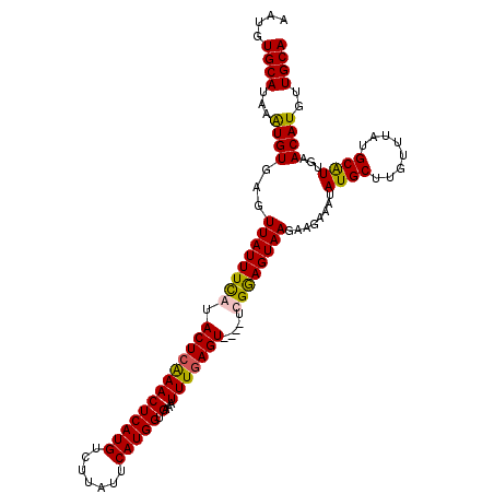 secondary structure