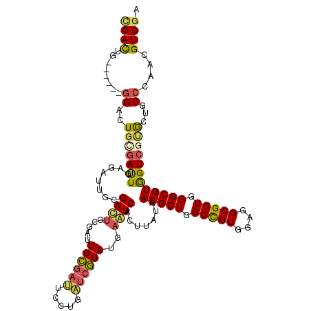 secondary structure