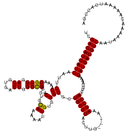 secondary structure