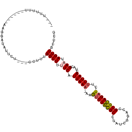 secondary structure