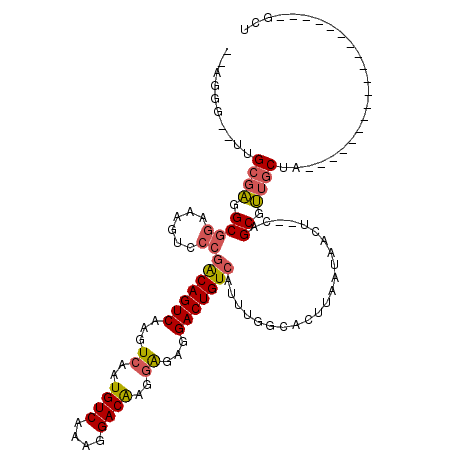secondary structure