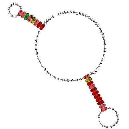 secondary structure
