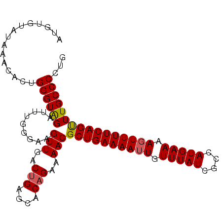 secondary structure