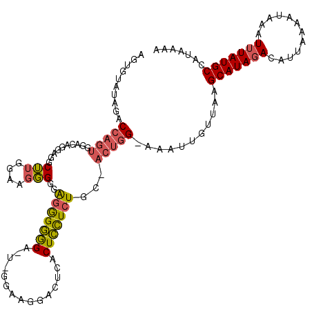secondary structure