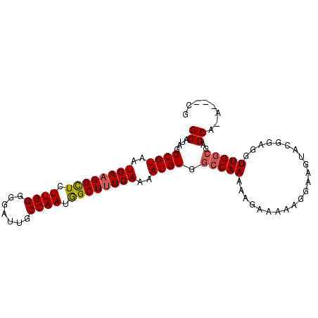 secondary structure