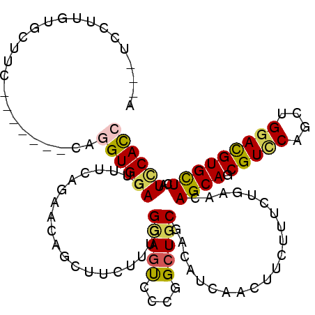 secondary structure