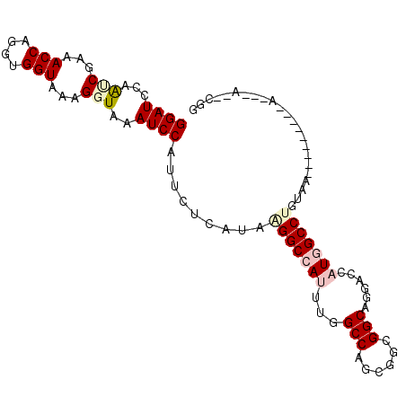 secondary structure
